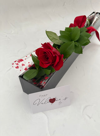 Single Red Rose - Boxed (PRE-ORDER)